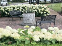 E (Wishing Well with Flowers)