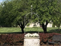 F (Wishing Well)